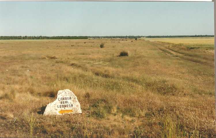 Cañada Real leonesa